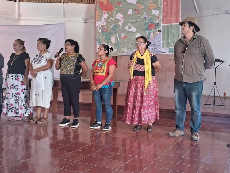 La autonomía indígena