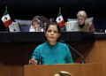 Rocío Corona Nakamura presentó la iniciativa sobre casos de violencia por interpósita persona. AMEXI Foto