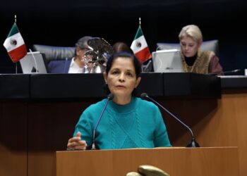 Rocío Corona Nakamura presentó la iniciativa sobre casos de violencia por interpósita persona. AMEXI Foto