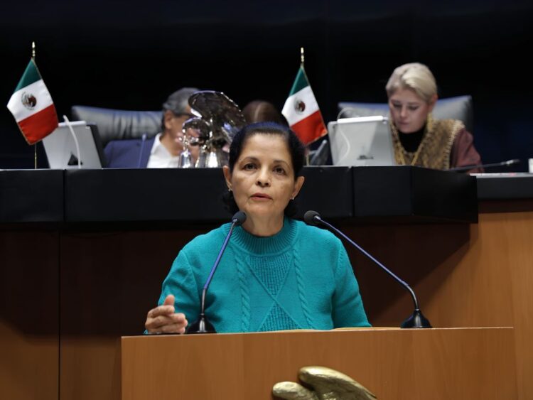 Rocío Corona Nakamura presentó la iniciativa sobre casos de violencia por interpósita persona. AMEXI Foto