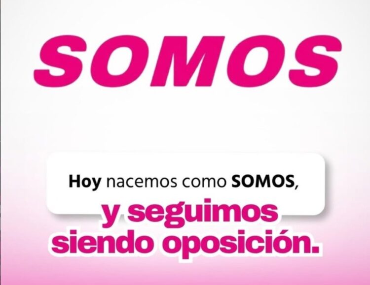 INE aprueba emblema de SOMOS tras dos rechazos previos