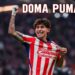 Chivas
