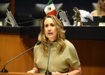 Senadora propone capacitar a maestros y policías para prevenir suicidios
