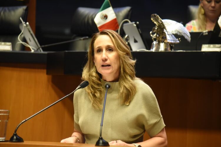 Senadora propone capacitar a maestros y policías para prevenir suicidios
