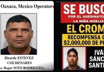 Breves Estados