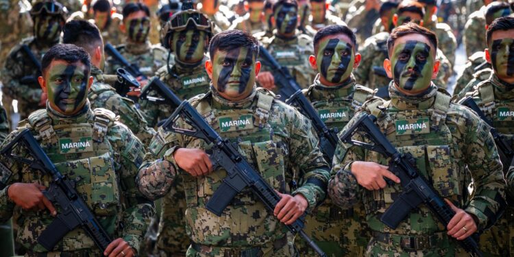Desfile Cívico-Militar por el 216 aniversario de la Independencia: sobrevuelo histórico y blindados nacionales