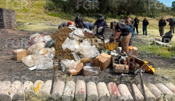 FGR incinera más de media tonelada de narcóticos