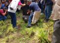 Extrabajadores de Luz y Fuerza del Centro decapitando la estatua del expresidente Felipe Calderón en la CDMX. AMEXI/Foto: Luis Martín González