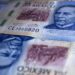 Paquete Económico 2027: deuda creciente y menor inversión, anticipa CEESP