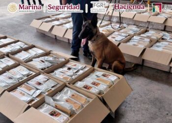 Decomisan café con cocaína en Aeropuerto Internacional de la Ciudad de México