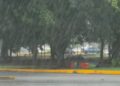 Imagen de lluvia intensa como referencia del pronóstico del Servicio Meteorológico Nacional, que prevé precipitaciones fuertes a intensas, posibles inundaciones, granizo y rachas de viento en distintas regiones de México.
