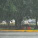 Imagen de lluvia intensa como referencia del pronóstico del Servicio Meteorológico Nacional, que prevé precipitaciones fuertes a intensas, posibles inundaciones, granizo y rachas de viento en distintas regiones de México.