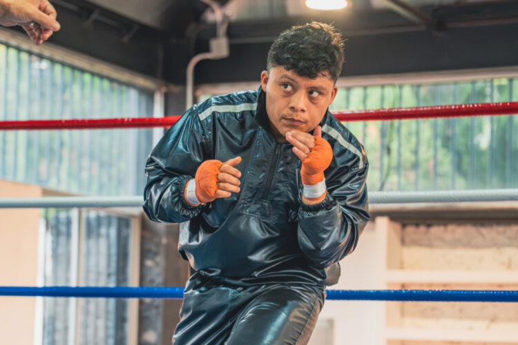 Pitbull Cruz
