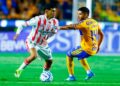 Tigres