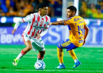 Tigres