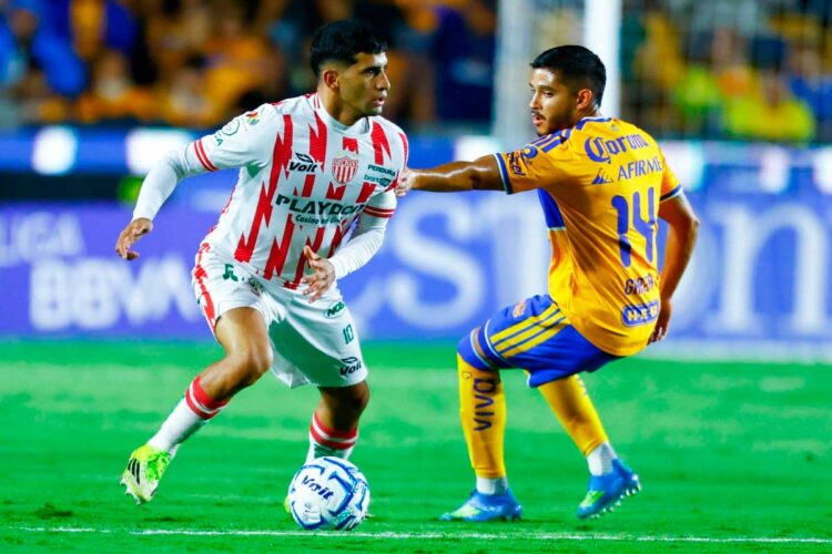 Tigres