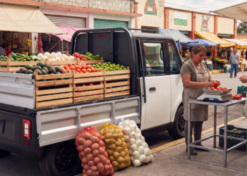 Secihti abre convocatoria para socios de Olinia con inversión mínima de 200 millones de pesos. AMEXI/Foto: Proyecto Olinia