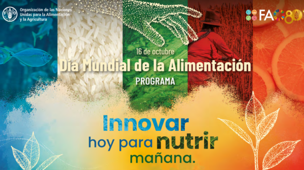 Día Mundial de la Alimentación 2026: "Innovar hoy para nutrir mañana". AMEXI/Foto: FAO