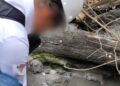 Contaminación en Zacatecas por actividades de Minera Sabinas, de Grupo Peñoles