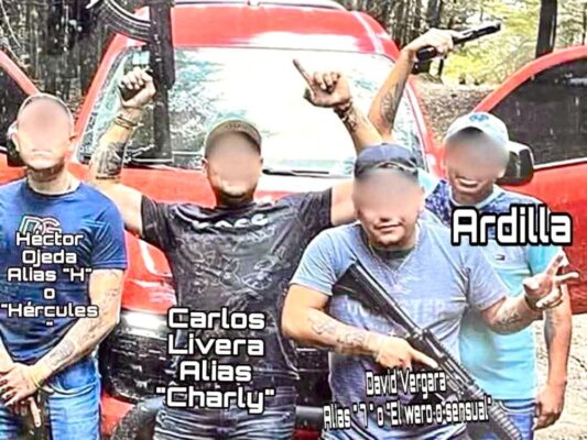 David Vergara, El 7, junto con otros integrantes de Pueblos Unidos en Totolapan.