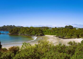 Paisaje natural de una isla tranquila, rodeada de aguas cristalinas y vegetación, como los destinos destacados en el ranking mundial de BookRetreats.