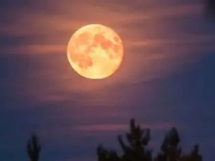 Luna llena de octubre de 2026, conocida como Luna del Cazador, visible en el cielo nocturno del hemisferio norte.
