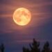 Luna llena de octubre de 2026, conocida como Luna del Cazador, visible en el cielo nocturno del hemisferio norte.