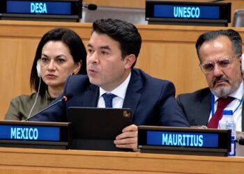 El subsecretario de Derechos Humanos, Población y Migración de la Secretaría de Gobernación, Arturo Medina Padilla, habla ante la ONU sobre la decisión del Comité Contra las Desapariciones Forzadas del organismo internacional.