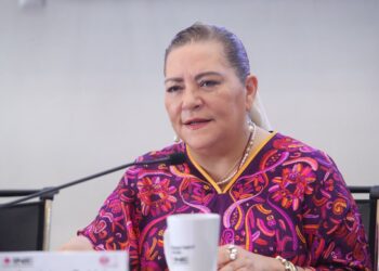 INE a favor de que ASF investigue a fondo, dice Taddei sobre señalamientos con proveedores
