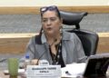 Guadalupe Taddei Zavala, consejera presidenta del INE.
