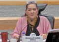 Guadalupe Taddei se dirige al pleno del Consejo General del INE. Advierte que no cederá a presiones que buscan su renuncia.