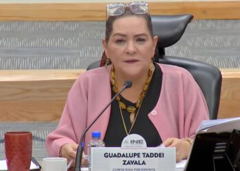 Guadalupe Taddei se dirige al pleno del Consejo General del INE. Advierte que no cederá a presiones que buscan su renuncia.