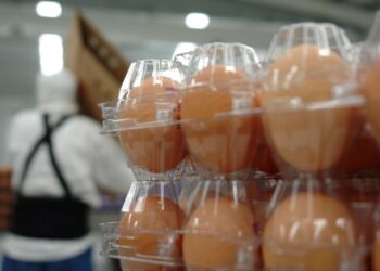 Día Mundial del Huevo: el alimento más versátil de la mesa mexicana.