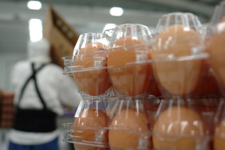 Día Mundial del Huevo: el alimento más versátil de la mesa mexicana.