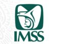 El esquema de la Modalidad 40 del IMSS será sometido a una revisión financiera y regulatoria.