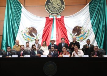 ASF investiga INE y OPLADES. Presenta informe ante la Cámara de Diputados.