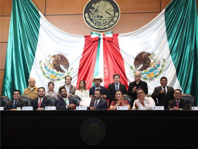 ASF investiga INE y OPLADES. Presenta informe ante la Cámara de Diputados.