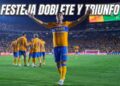Tigres Brunetta