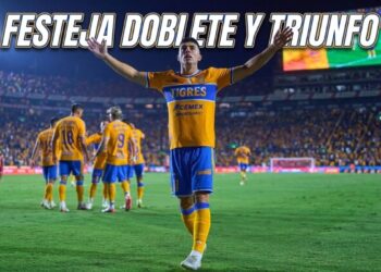 Tigres Brunetta