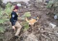 Rachel deja cuatro decesos en Ensenada, BC; suman 32 personas rescatadas por aire