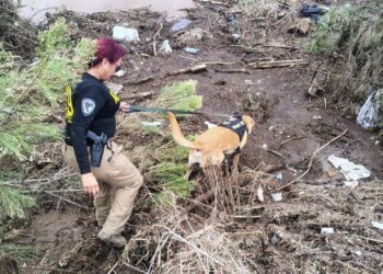 Rachel deja cuatro decesos en Ensenada, BC; suman 32 personas rescatadas por aire
