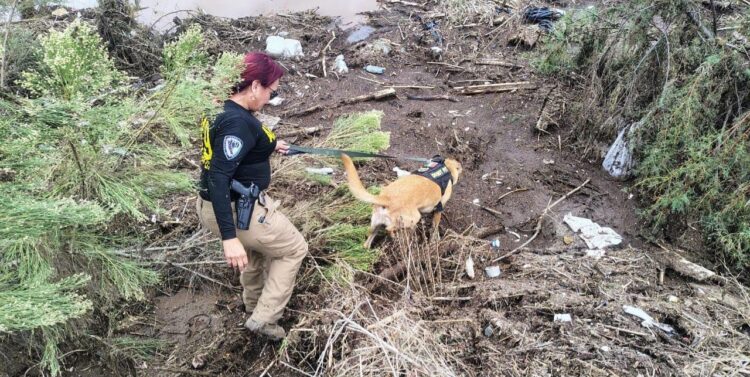 Rachel deja cuatro decesos en Ensenada, BC; suman 32 personas rescatadas por aire