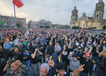 marchas y plantones