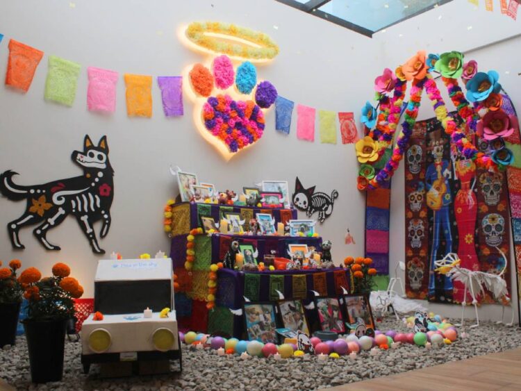 Día de Muertos: ¿qué poner en la ofrenda para recordar a tu perrito?