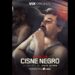Operación Cisne Negro revisa la fuga y recaptura de El Chapo