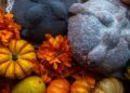 Pan de muerto: ¿por qué cuesta más y cómo cambia en cada región de México?