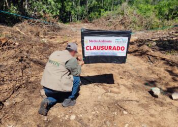 La Profepa clausuró predio en Playa del Carmen, Quintana Roo, tras detectar remoción total de vegetal forestal sin autorización.