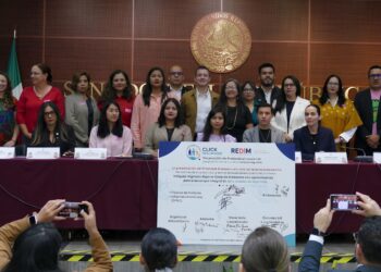Presentación de la REDIM sobre los derechos digitales de la niñez.