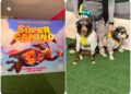 Perritos desfilan con sus mejores disfraces en premier de “Súper Canino”