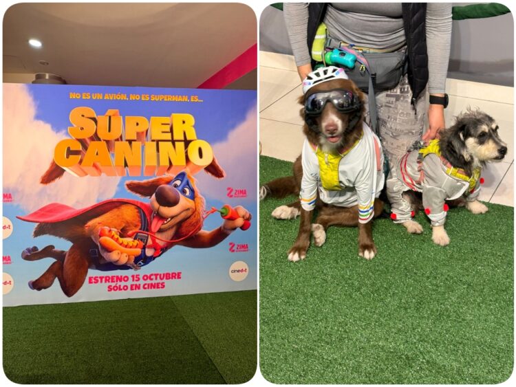 Perritos desfilan con sus mejores disfraces en premier de “Súper Canino”